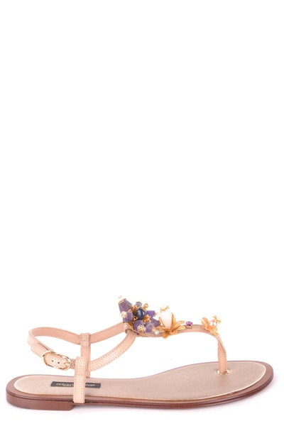Dolce & Gabbana Flip-flops In Multicolor