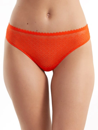Bare The Flirty Lace Thong In Red