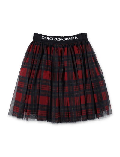 Dolce & Gabbana Checked Tulle Skirt In Multicolore