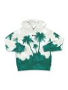 Msgm Palm Tree-print Hooded Sweatshirt In Green