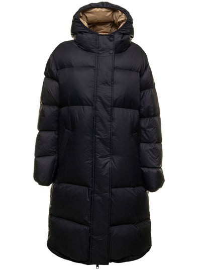 Msgm Padded Downjacket With Logo Hood In Black