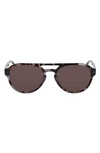 Converse 55mm Aviator Sunglasses In Charcoal Tortoise