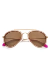 Lilly Pulitzer Elliot 55mm Polarized Aviator Sunglasses In Crystal Gold