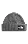 The North Face Salty Dog Knit Beanie In Gray