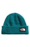 The North Face Salty Dog Beanie In Shady Blue