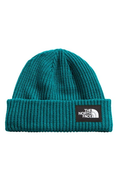 The North Face Salty Dog Beanie In Harbor Blue