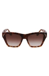 Victoria Beckham Classic V Modified Square Acetate Sunglasses In Light Havana Fade