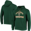 UNDER ARMOUR UNDER ARMOUR GREEN GREENSBORO GRASSHOPPERS ALL DAY RAGLAN FLEECE PULLOVER HOODIE