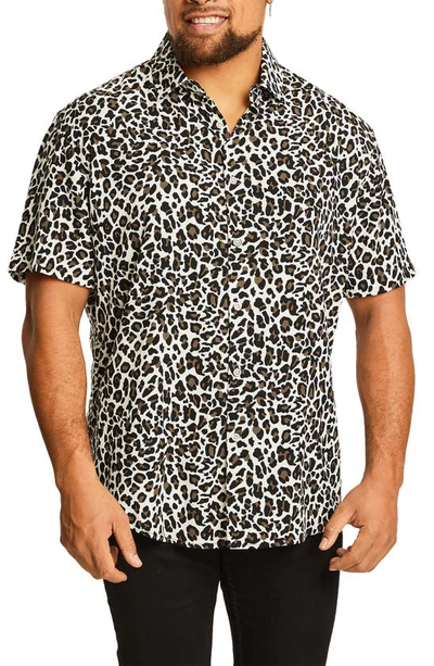 Johnny Bigg Chance Regular Fit Animal Print Short Sleeve Button-up Shirt In White