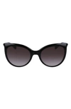 Longchamp Roseau 53mm Gradient Cat Eye Sunglasses In Black