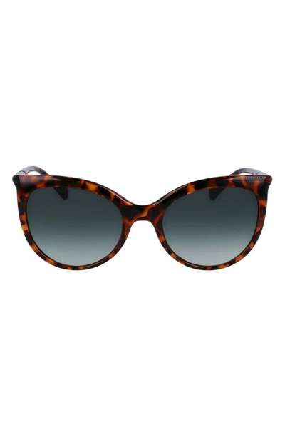 Longchamp Roseau 53mm Gradient Cat Eye Sunglasses In Havana