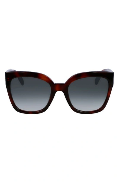 Longchamp Medallion 52mm Tea Cup Sunglasses In Havana