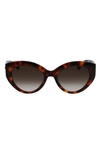 Longchamp Roseau 54mm Gradient Cat Eye Sunglasses In Havana