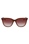 Longchamp Le Pliage 56mm Gradient Tea Cup Sunglasses In Brown