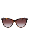 Longchamp Le Pliage 56mm Gradient Tea Cup Sunglasses In Havana