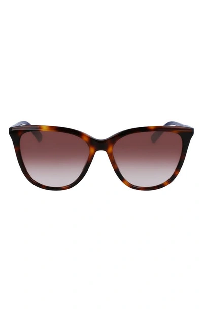 Longchamp Le Pliage 56mm Gradient Tea Cup Sunglasses In Havana