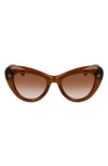 Lanvin Daisy 50mm Cat Eye Sunglasses In Caramel