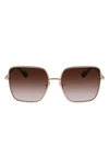 Lanvin Babe 59mm Gradient Square Sunglasses In Gold/ Gradient Brown