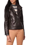 Bernardo Leather Moto Jacket In Chocolate Chip