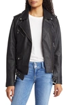 Sam Edelman Belted Moto Jacket In Black