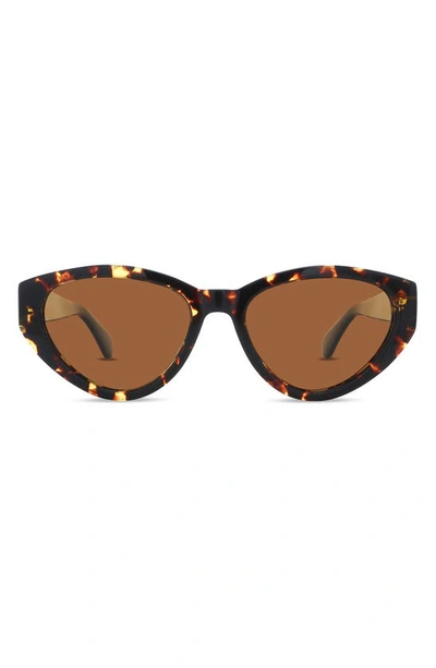 Banbe The Hart Polarized Cat Eye Sunglasses In Amber Tort Black