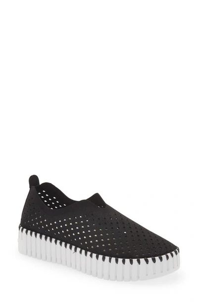 Ilse Jacobsen Tulip Sneaker In Black