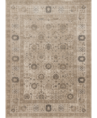 Spring Valley Home Century Tcq-02 3'7" X 5'7" Area Rug In Taupe