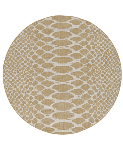 Kas Provo 5767 7'10" X 7'10" Round Outdoor Area Rug In Brown