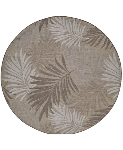 Kas Provo 5787 7'10" X 7'10" Round Outdoor Area Rug In Brown