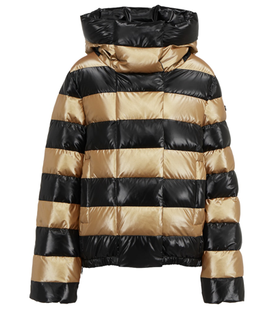 Goldbergh Black And Gold Dazzle Striped Padded Ski Jacket