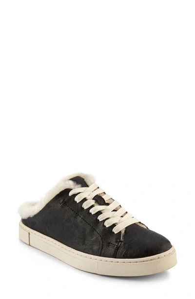 Frye Ivy Genuine Shearling Sneaker Mule In Black