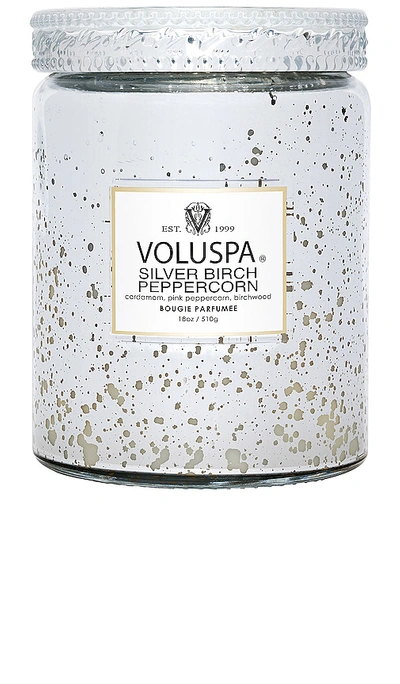 Voluspa Silver Birch Peppercorn Large Jar Candle