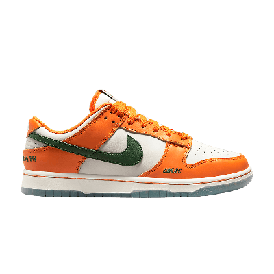 Pre-owned Nike Florida A&m University X Dunk Low 'rattlers' In Orange