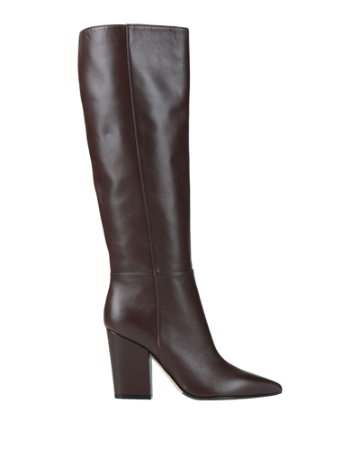 Sergio Rossi Knee Boots In Brown