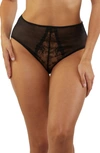 PLAYFUL PROMISES MARLOWE HIGH WAIST MESH PANTIES