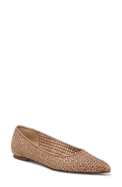 Sam Edelman Wanda Pointed Toe Flat In Warm Tan Raffia