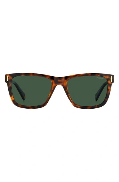 Polaroid 54mm Polarized Square Sunglasse In Havana/ Green Polar