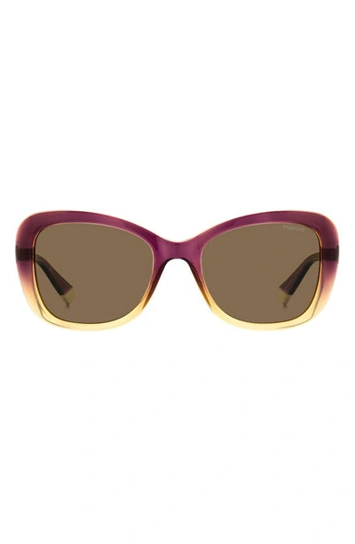 Polaroid 53mm Polarized Cat Eye Sunglasses In Violet Beige/ Bronze Polarized