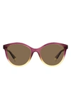 Polaroid 54mm Polarized Round Sunglasses In Violet Beige/ Bronze Polarized