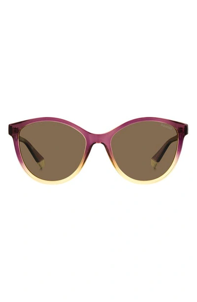 Polaroid 54mm Polarized Round Sunglasses In Violet Beige/ Bronze Polarized