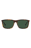 Polaroid 59mm Polarized Rectangular Sunglasses In Havana/ Green Polar