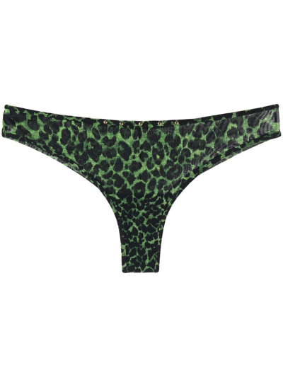 Marlies Dekkers Rhapsody Leopard Print Briefs In Green