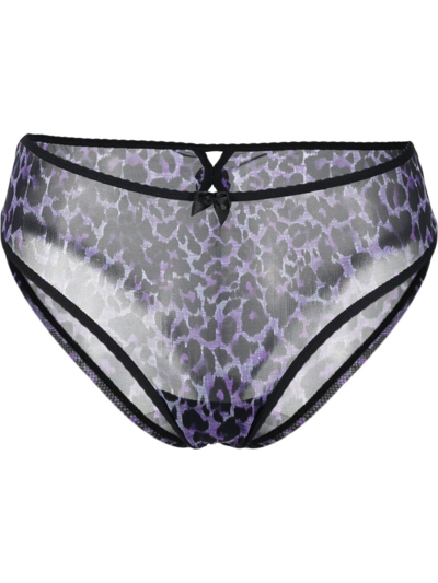 Marlies Dekkers 半透明巴西式三角裤 In Purple