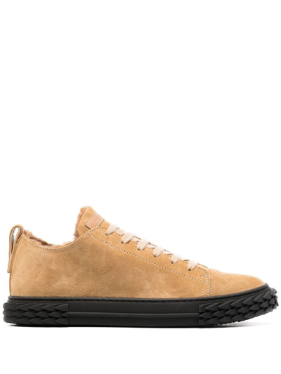 Giuseppe Zanotti Blabber Low-top Trainers In Brown