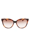 Ferragamo Gancini Injection Plastic Cat-eye Sunglasses In Tortoise