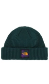 The North Face Salty Dog Beanie In Ponderosa Green Plaid