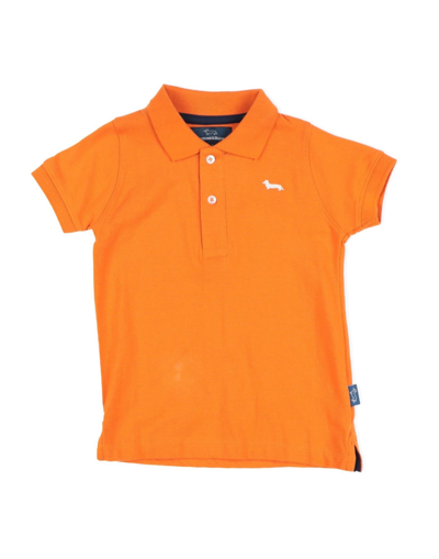 Harmont & Blaine Polo Shirts In Orange
