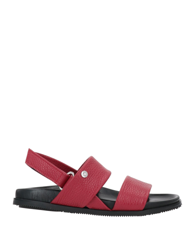 Pollini Sandals In Red