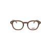 MOSCOT MOSCOT WOMEN'S BROWN METAL GLASSES,LEMTOSHBROWN 49