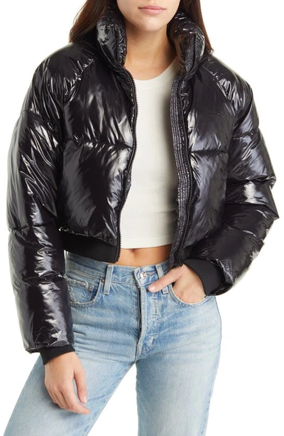 Blanknyc Crop Puffer Jacket In Cold Lover